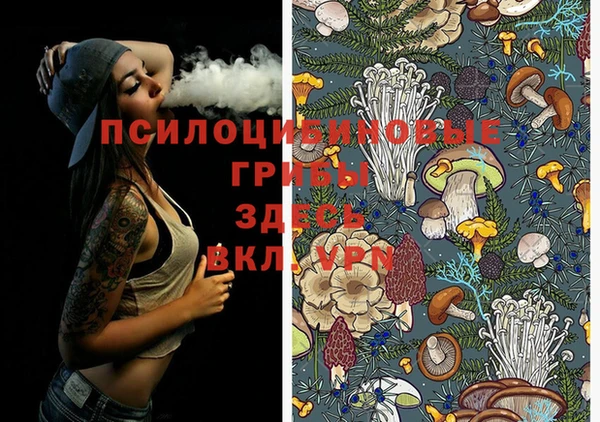 экстази Зерноград