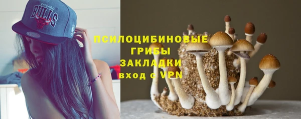 не бодяженный Зеленодольск